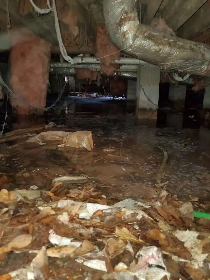 Crawl space flood assessment for Leak Detection & Repair in Norwood